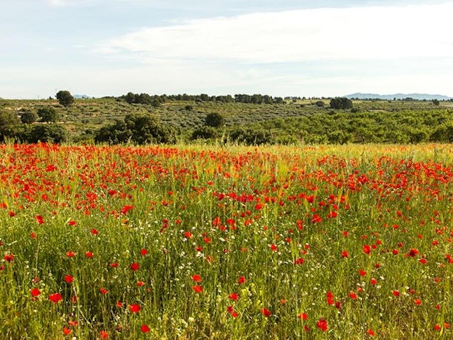 Appartement Quintina, Relax En La Sierra Del Segura Socovos