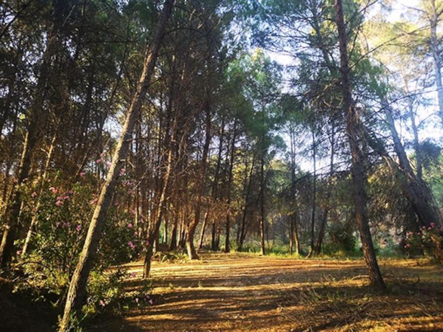 Quintina, Relax En La Sierra Del Segura Appartement *